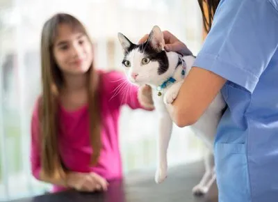 Pet Primary Care